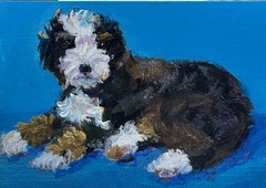 ACEO original acrylic painting Bernedoodle and gold highlights by Gale 2.5×3.5in