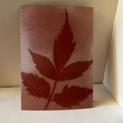 ACEO Original Art Card 2.5 x 3.5 anthotype mini painting leaf