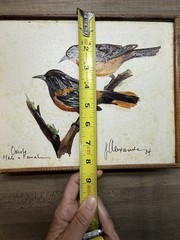 Pair Canvas Art reproduction- Birds, Signed By Artist. (B2?)