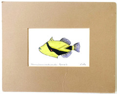 Hawaiian State Fish Painting Handpainted by Liko 8×10″ Watercolor Triggerfish