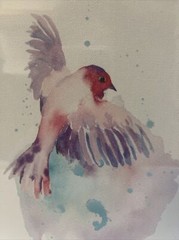 Bird Watercolor Paintings Abstract Framed Set Of 2 Birds In Flight Original 9×11