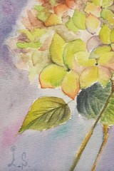 Hydrangea Original Watercolor Painting Flowers Wall Art Hand Made Painted
