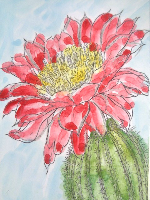 ATC ACEO Desert SUCCULENT PRICKLY CACTUS PLANT Painting Art