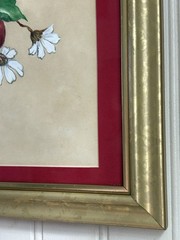 Vintage Original Acrylic Painting of Apples & Blossoms Red/Tan Framed VTG Granny