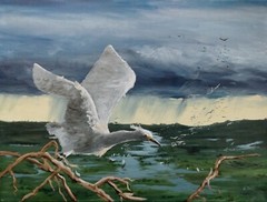 Original 18×24 in Oil Painting Egret in Wetland Landscape Wading Bird Art A Joli