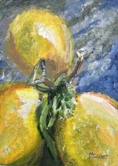 Original Acrylic Painting 5×7 Lemon Still Life Canvas Board Signed Meyer Lemons