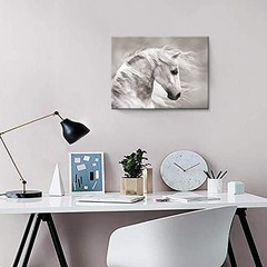 Canvas Horse Wall Art 16×11 Animal Painting White Horse Landscape