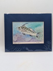 Original Watercolor Painting Signed Art Northern Kingfish M Steele Matted 8×10