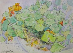GERRY MILLER Floral. Watercolour and Ink Painting. 37x27cm. Unframed.