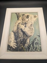 Vintage Artist Signed Oil Painting Koala Bear On Tree Framed 9.5×7.5″