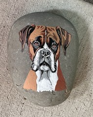 Hand Painted Original“Boxer” on a Rock! Can be Personalized 5 1/2 X4x2