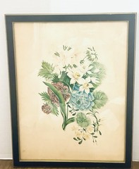 Original 1824 Antique English Regency Botanical Watercolor Painting Sussex