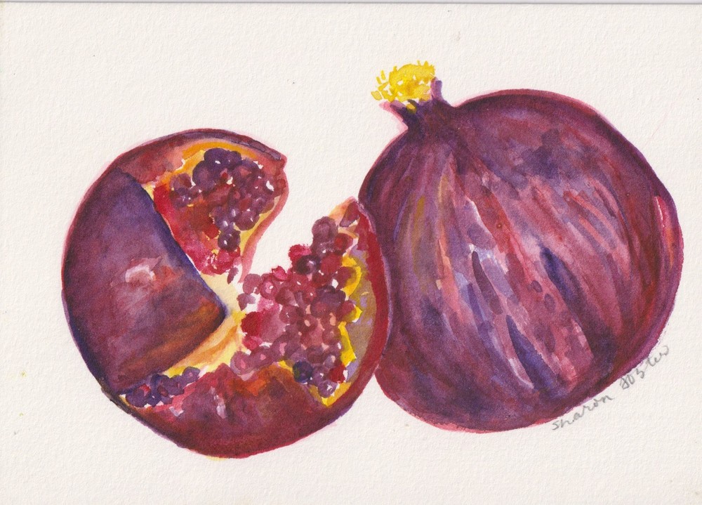 5×7 Pomegranates Original Watercolor Painting, Fruit by Sharon Foster