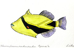 Hawaiian State Fish Painting Handpainted by Liko 8×10″ Watercolor Triggerfish
