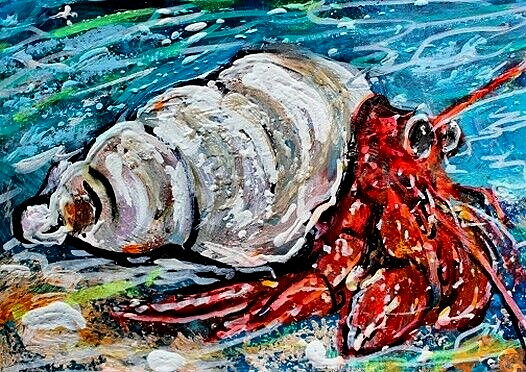 ORIGINAL ACEO Hermit CRAB Painting Sea Life Beach Maryland Ocean Sand ATC ART