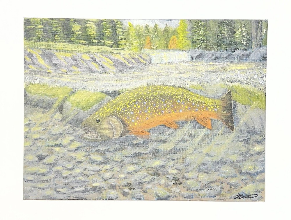 9”x12” Oil on Canvas Board Original Painting. Trout in the Sun