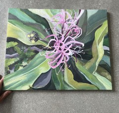 Florida Flora Oil Painting Spider Lily Collect Original Fine Art Signed Dated