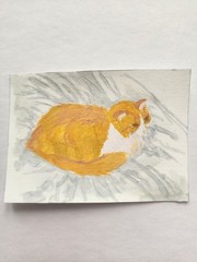 ACEO Original Acrylic Painting Abstract Fluffy Orange White Tabby Cat by Kiva