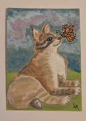 ACEO Original Painting Cat Butterfly Garden OOAK by Backyard Jungle Art