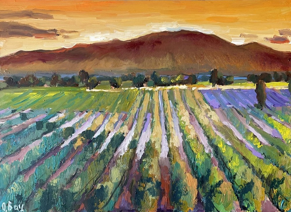 Napa Valley Painting Original Art Oil Painting Vineyard Landscape 10×14″ signed