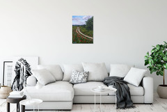 Original Country Path Oil Painting Poppy Meadow Flowers Rural Field Wall Art