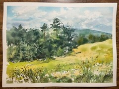 Original Watercolor Painting Landscape Nature Flowers Countryside – 9×12 inches