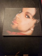 Prince paintings, Lacey Framed Signed Canvas Paintings Lot