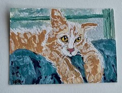 Original ACEO Orange Cat Window Blue Covers Whimsical Maria Rico“SPHINX“