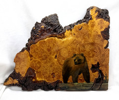 1992 Oil Painted Bear On Live Edge Birds Eye Maple Wood Plaque 16×13 Signed