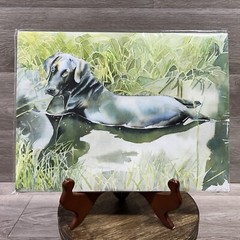 Vintage Watercolor Painting Print Black Lab Dog Water Swimming Pet Original Art