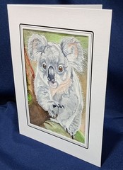 Australian Koala 7″ x 5″ Original watercolor comes in acid free sleeve
