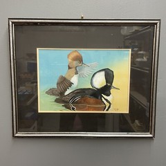 Watercolor Gouache Painting „Pair Merganser Ducks“ by A. R. Olsen