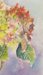 Hydrangea Original Watercolor Painting Flowers Wall Art Hand Made Painted