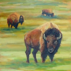 Bison Oil Painting Original On Canvas 28×28 Wildlife Buffalo Art American West