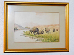 JULIUS J. RORPHURO (1861-1928, France-Calif.); ‚BUFFALOS GRAZING‘, W/C, Signed