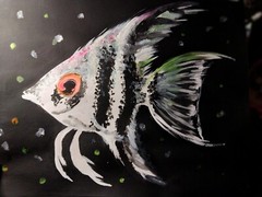 Angelfish In The Dark