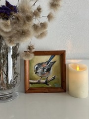 Oil Painting Little Bird 15x15cm Gift Bird On Brunch Wall Art Fine Art