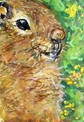 ORIGINAL ACEO Painting Grond SQUIRREL SPRING Marmot Animal Flower Nature ATC ART