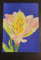 ACEO Original Acrylic Painting Garden Flower by Kiva
