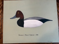 Original Anthony Hillman Redhead Duck Painting 1986 Hurley Conklin 16×20