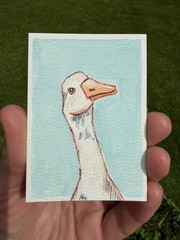 ACEO Original goose duck bird, animal cartoon illustration wildlife 2.5 x 3.5in