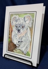 Australian Koala 7″ x 5″ Original watercolor comes in acid free sleeve