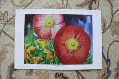 Art Poster, Poppy Flower Series 1, Signed, 13×19 inches, Print, Beautiful!