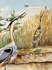 Rex Brasher Original Bird Art Painting – Great Blue Heron & Bittern, Signed