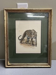 Imogene H Farnsworth Cougar Limited Edition Signed & Numbered H 15 1/2 W 12 1/2
