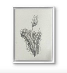 Original Charcoal Pencil Sketch Flower 9×12 paper Modern Wall Art Home Decor