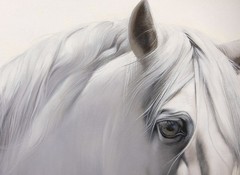 Framed Oil Painting, White Horse Portrait, Signed by D J Kim, Korean Art