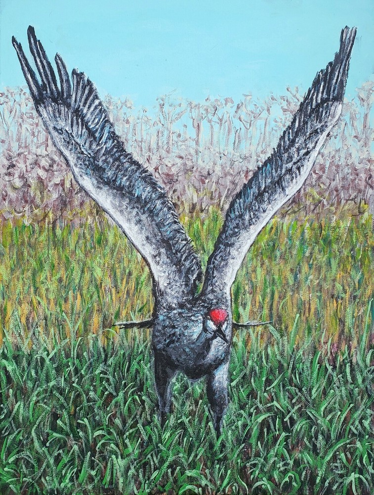 Sandhill Crane Taking Off Wildlife Bird Painting. Beautiful Original Art 16×12