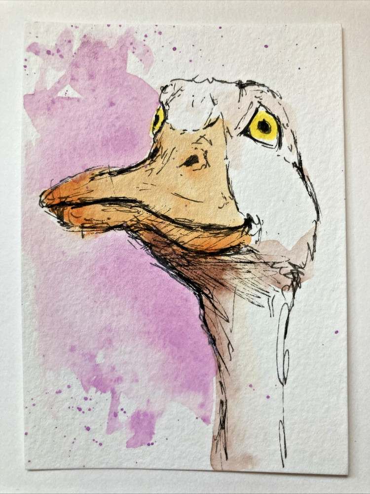 ACEO Original Watercolor Painting OOAK Bird ATC Artist Trading Card Duck