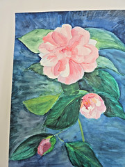 Watercolour Painting on Cardboard – Pink Flowers / 70x50cm by Kühhhirt 2001 – No Frame